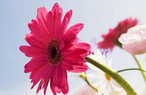 ˹ݡ֢״
